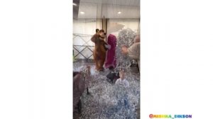 Маша и Медведь 8 905 781 55 25