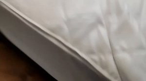 Как бы я играл в игру в кальмара