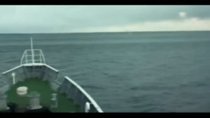 8 Удивительных Вещей, Найденных После Цунами в Японии