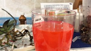 ЧЁРНОЕ ПЯТНО НА ШЕЕ ОРХИДЕИ • лечу Максимом