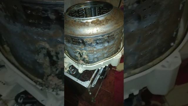 Шок , при вскрытии стиральной машинки