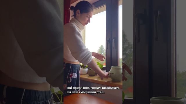 Чому всі почали вирощувати зелень вдома? #trending #грунт #? смотреть онлайн