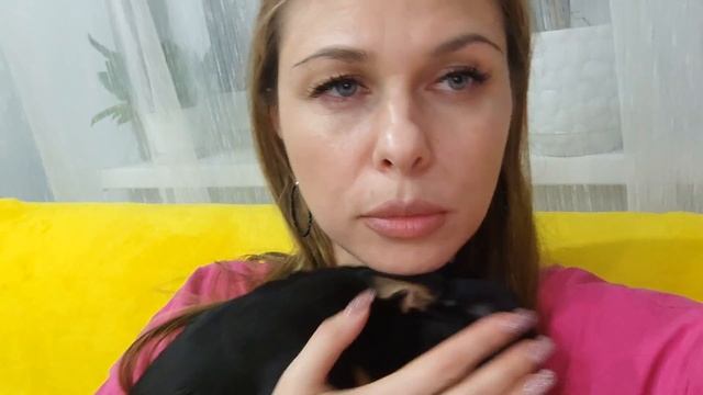 Vlog 2/25. Первые рабочие дни в Новом Году /Возвращаюсь к ПП /Доедаю сладости🙈/ Mariya VD LIFE. смотреть онлайн