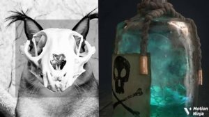 Жуткие лица Шлёпы. Когда ты съел: