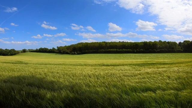 Я досліджую світ (Воронцова) 1 клас 2024р. ст. 22-29