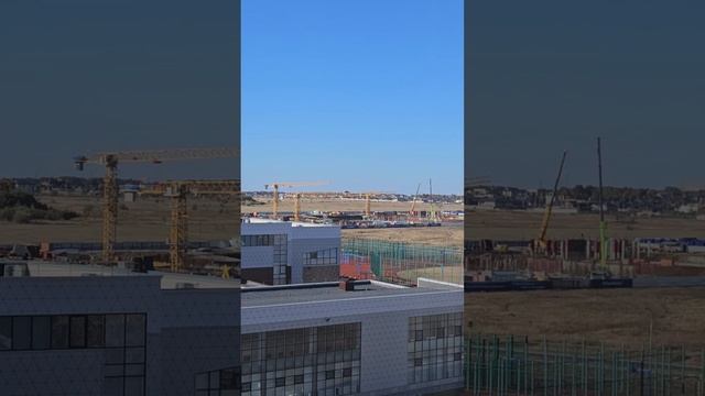 6 октября 2024 г.