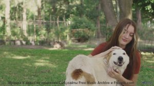 Двигайтесь под этот ритм - пусть дорога ведёт вас к новым открытиям - Tryst of Emanations -- Vulpian