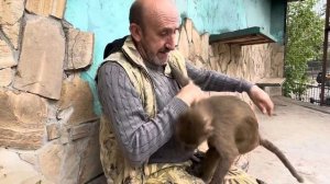 УЖАС! Ребенок зашел к слону, а Люсю бьют бутылкой ради ?