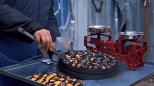 Гарри Топор & Тони Раут - Индиго