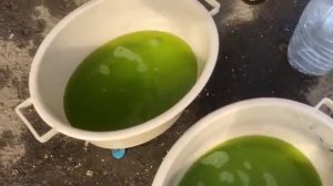 Золото - ЮВЕЛИРНЫЕ ОТХОДЫ Процесс аффинажа