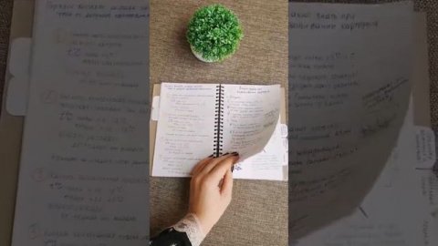 Блокнот от Виктории Карелиной (Семена Алтая) #семенаал