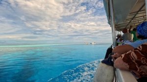 Бюджетные Мальдивы: Plumeria Maldives на острове Thinadhoo (Тинаду