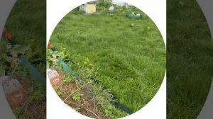 На даче🌱☺️