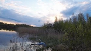 Холодно - двигайся #FPV