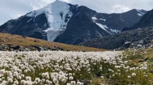 Эмиль Толкочеков  - Ария баатыра