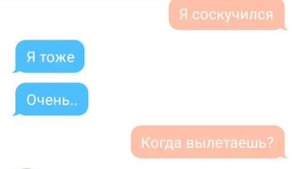 Переписка Салли и Ларри