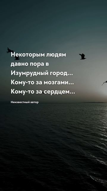 В Изумрудный город Мозг, интеллект и память - цитаты #ц?