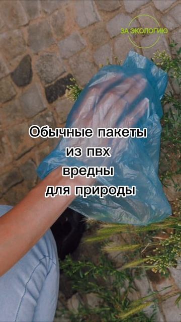 Есть ли смысл убирать на улице за собакой? #заэкологию смотреть онлайн