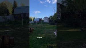 Дача, выходной