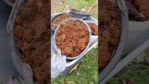 готовим грунт к весне.