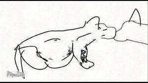 РЕАКЦИЯ НА ФИОЛЕТОГЛАЗКУ   Синенький узнал как появляются котята