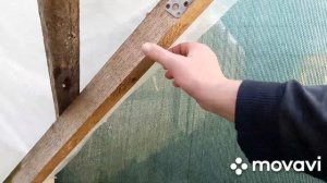 Бюджетный парник для черенкования хвойных