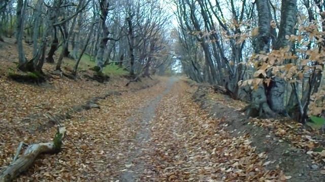 начало тропы КГО