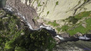 Что на самом деле происходит в этом лесу Это невероятно! - Gruyere -- Podington Bear -- Homage Froma