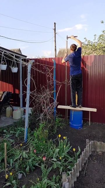 Виноградная шпалера diy #дача