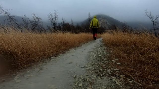 Не смогла усидеть дома. 27.12.21