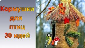 Как сделать кормушку для птиц, чтобы она стала украшением дачи