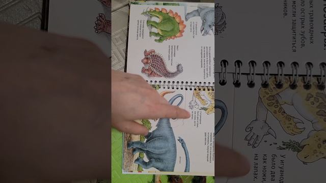 1000140472.mp4