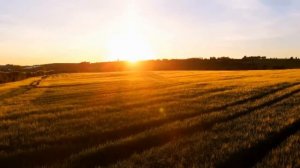 Есть только миг