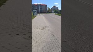 статус борьбы с похищением детей. май 2025