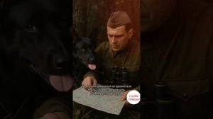 с Днём Победы!