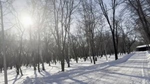 Купили дачу, а свекровь устроила там свой огород и при?