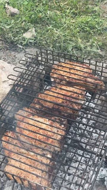 Шашлык Природа Отдых Лес В Крыму #shorts #shortvideo #крым #путе смотреть онлайн