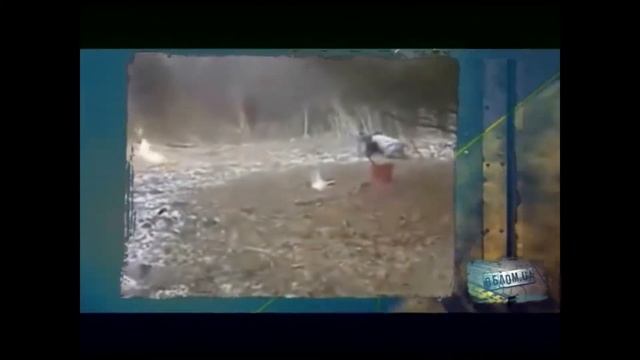 ОБЛОМ #3 Приколы, угар, ржака до слез 2019 смотреть онлайн