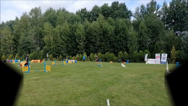 Белорусская федерация кинологических видов спорта смотреть онлайн