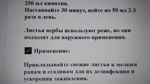 Верба: лечебные свойства и скрытые риски, о которых ну?