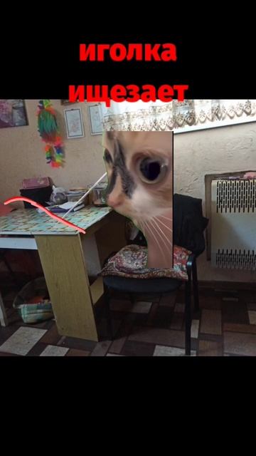 как я училась шить.. #залетипж #меми #2024 #ричи Сквичи##юм? смотреть онлайн