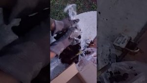 РАСПАКОВКА ПИОНОВ С ОЗОНА 2 октября 2024.