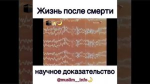 жизнь после смерти - научное доказательство