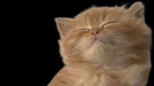 Помогите ребятки!!!😭