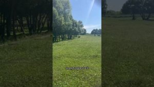 Что лучше: Даньшино или Машин пруд?