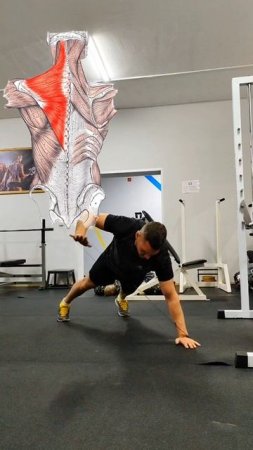 👀Интересные упражнения на ПЛЕЧИ