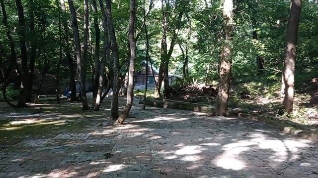 Киселева балка сегодня. 07.08.2022. Благодатные места Луга?