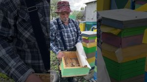 ДИАФРАГМА ДЛЯ АЛЬПИЙСКОГО УЛЬЯ