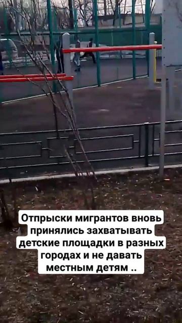 Отпрыски мигрантов вновь принялись захватывать детск смотреть онлайн