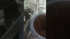 как пересадить рассаду цветов в кашпо